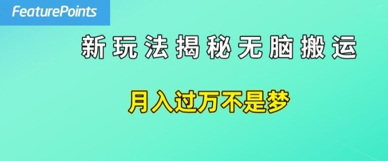 简单操作，每天50美元收入，搬运就是赚钱的秘诀【揭秘】